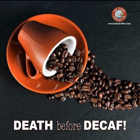 Cabo Coffee -- Mexico's Best Organic Coffee!

#coffee #coffeetime #coffeebreak