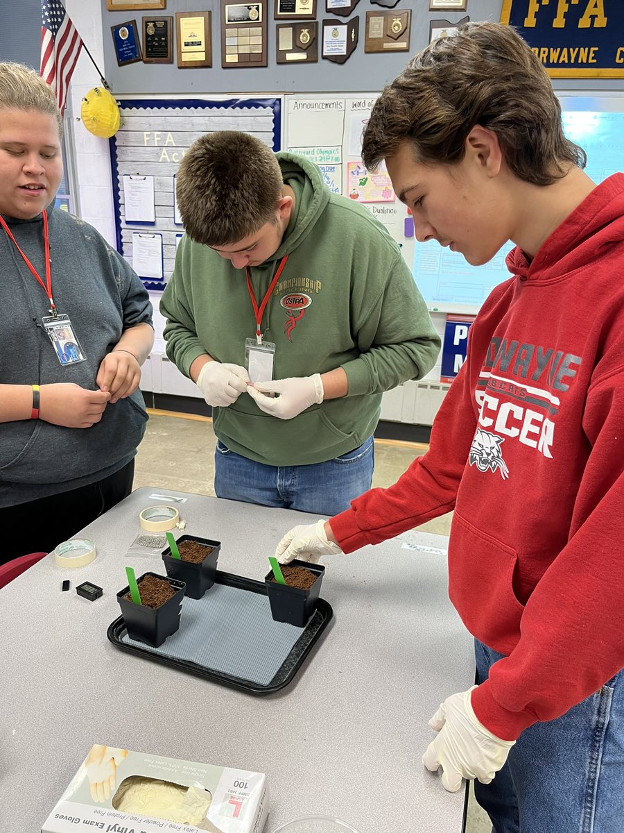 _norwayneffa's tweet photo. Today is planting day for our @GrowBeyondEarth NASA experiment! Our 2nd period Planimal class planted their three varieties of misome and pak choi. https://t.co/9FV1CFyhPE