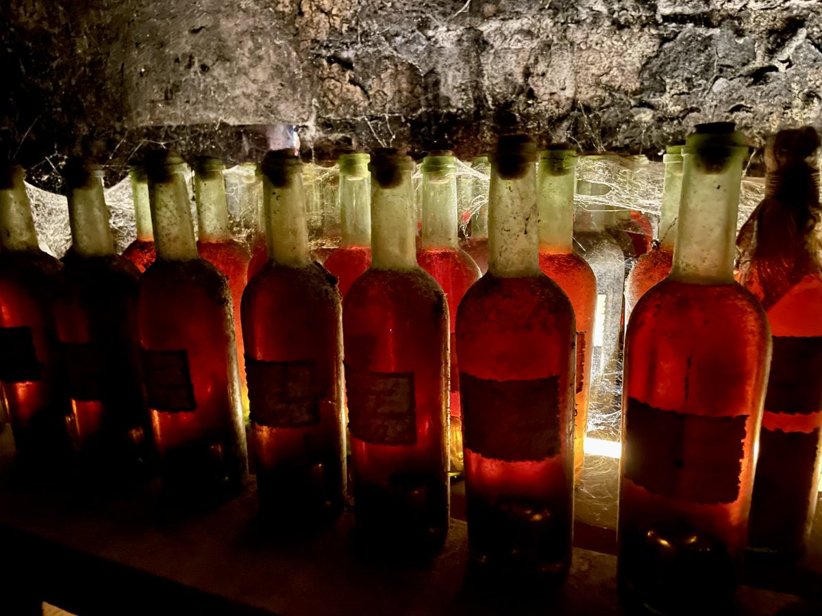 Ruranot's tweet photo. Retrouvailles dans le Cognaçais🍇pour les membres de @Ruranot  le WE dernier. Découverte des spécificités viticoles de cette belle région et des caractéristiques de l'appellation #cognac. #convivialité #rural https://t.co/cyqP5rqPW1