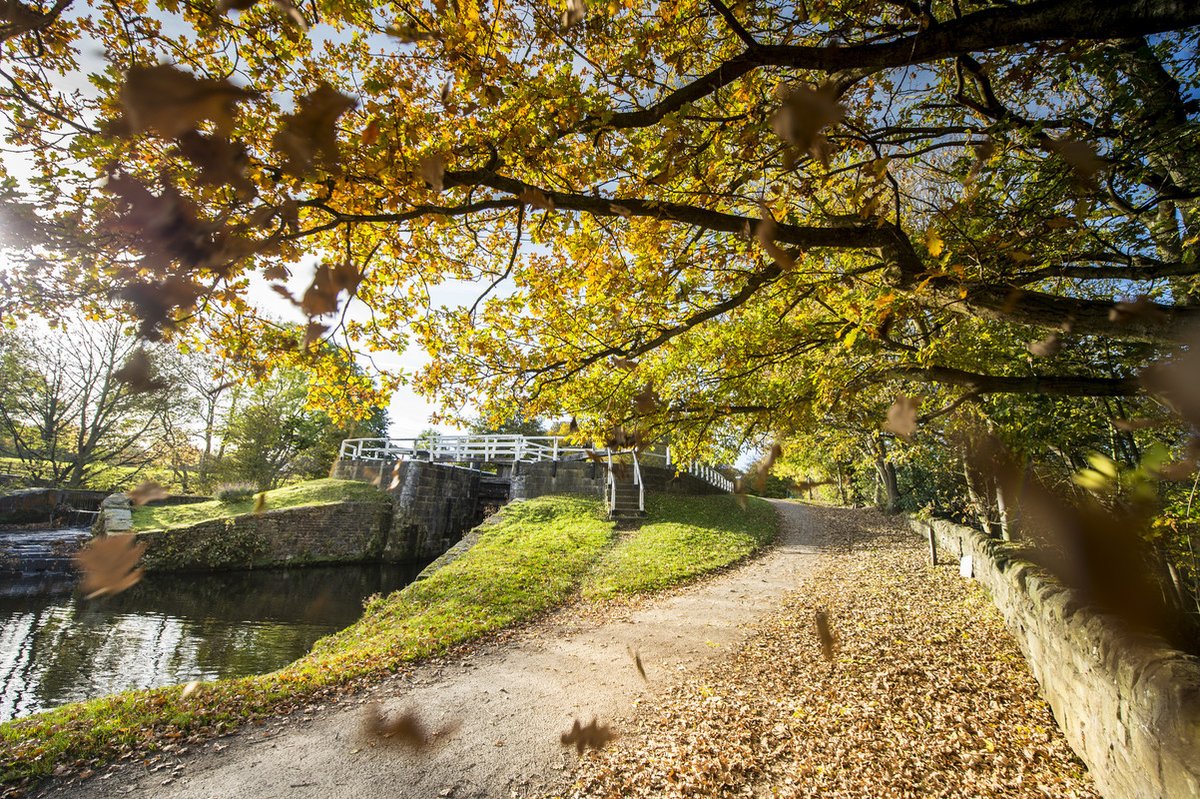 Autumn is a truly special time of year along our #Canals and #Rivers 🍂 

Have you got plans to explore your local waterway network this week? 

#KeepCanalsAlive