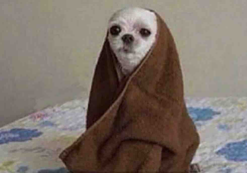 Guarromantico_'s tweet photo. Cuando suena la alarma para ir a trabajar y pasa por mi mente no ir porque hace frío pero recuerdo que tengo muchas deudas. https://t.co/dl3JnORtN2