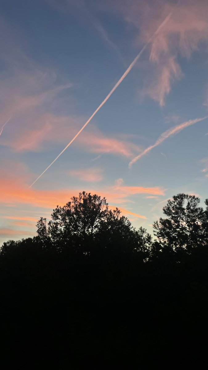 carmenherranzz_'s tweet photo. empieza la época del cielo bonito mientras llegas a clase>>> https://t.co/PN3T1durEr