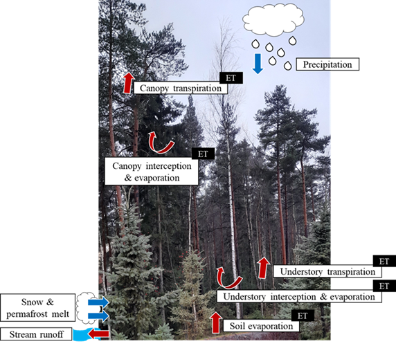 CLEANFOREST COST Action tweet media