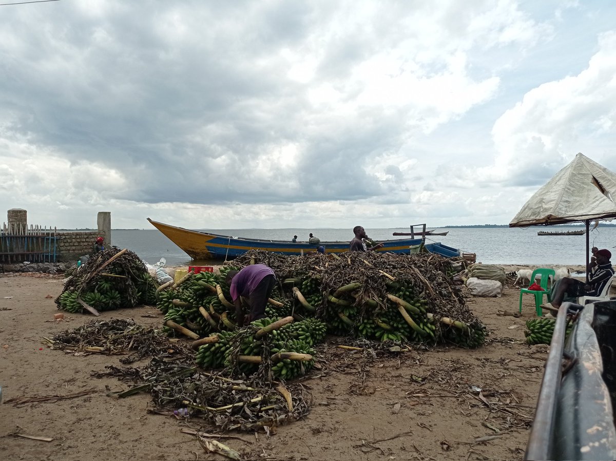 EcoBrixs's tweet photo. #ClimateAdaptation
We must #adapt to the #impacts of #climatechange, this will insulate #vulnerableCommunities.
#ecobrixs #advocacy
#plasticforeducation #uganda #COP28 #RecycleWeek #recycling #plasticwaste #plasticbottles #plastictreaty https://t.co/4mUH5AuK6a