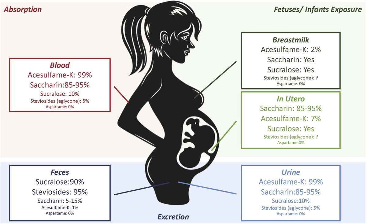 Consumption of non-nutritive sweeteners during pregnancy - Pregnancy non-nutritive sweetener absorption and excretion ow.ly/sCxQ50PbeRX