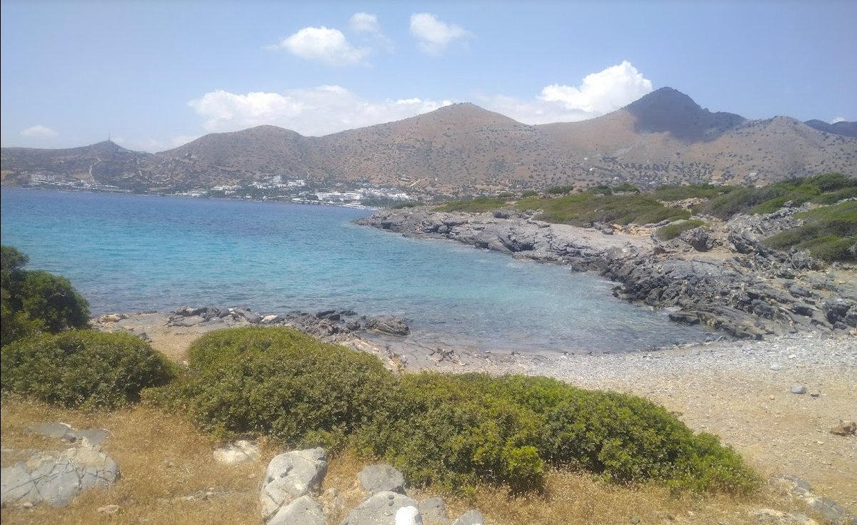 MEG Verbania tweet media