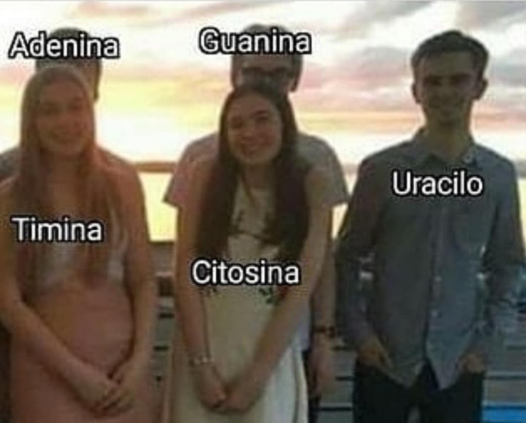 AcademiaOsorio's tweet photo. Estar más solo que un uracilo en una cadena de ADN. Descripción gráfica: https://t.co/EAA0CQACyf