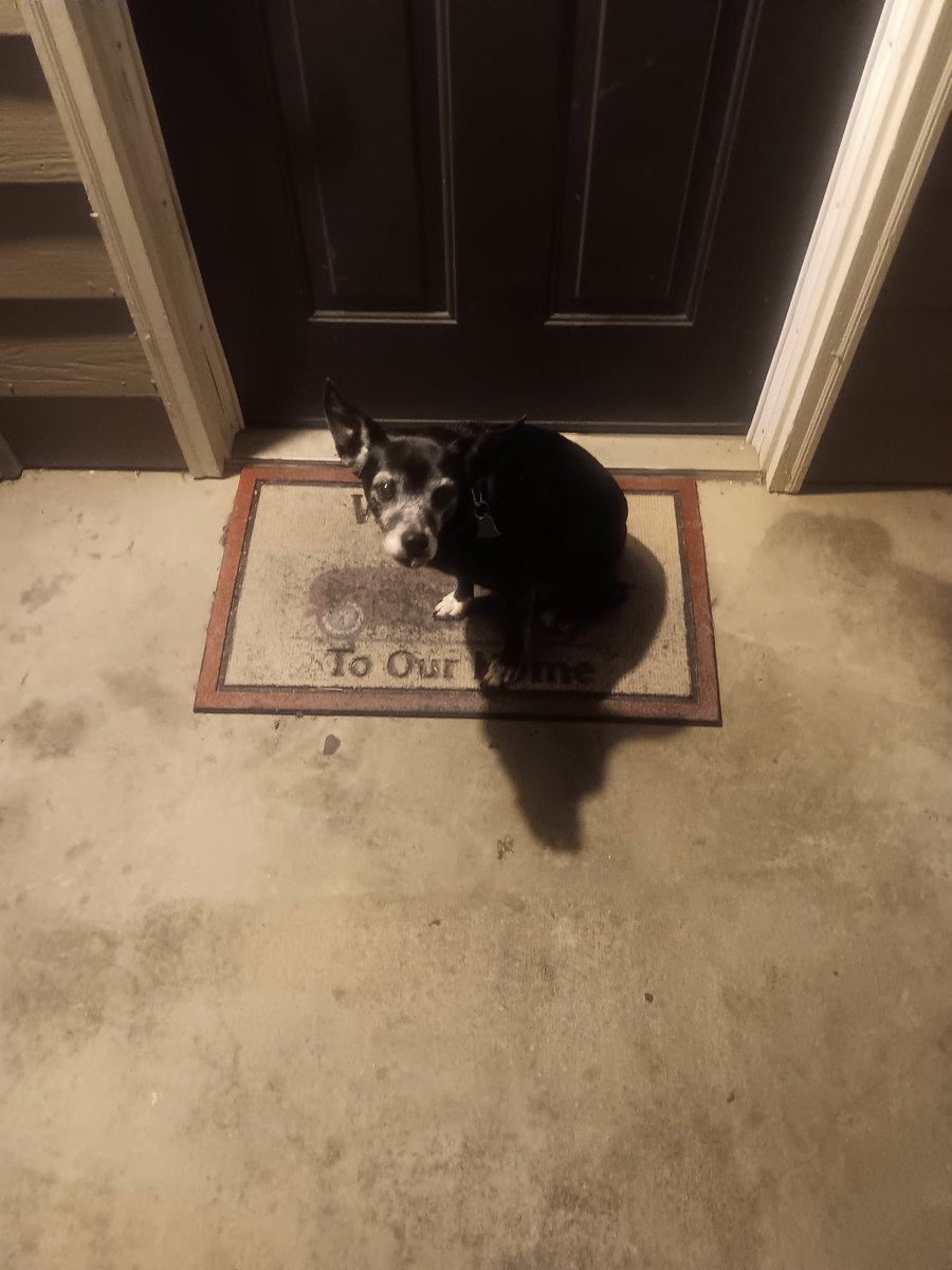 realcchaney's tweet photo. I put some whip cream on the floor right. She ate it. She's a very special young lady. Her name is luna. https://t.co/d1HgNyi3Xm