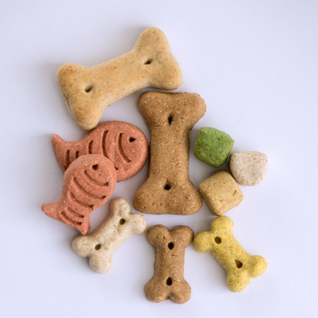 BlogChien_fr's tweet photo. Saviez-vous que préparer des friandises maison pour votre chien peut être sain et amusant ? 🐕🍪 Découvrez 20 recettes gourmandes pour gâter votre fidèle compagnon ici : https://t.co/en3QURxDb8 🦴❤️ #FriandisesMaison #Chien #RecettesCanines #BlogChien #AmourCanin #dog https://t.co/0xOvao9WzW