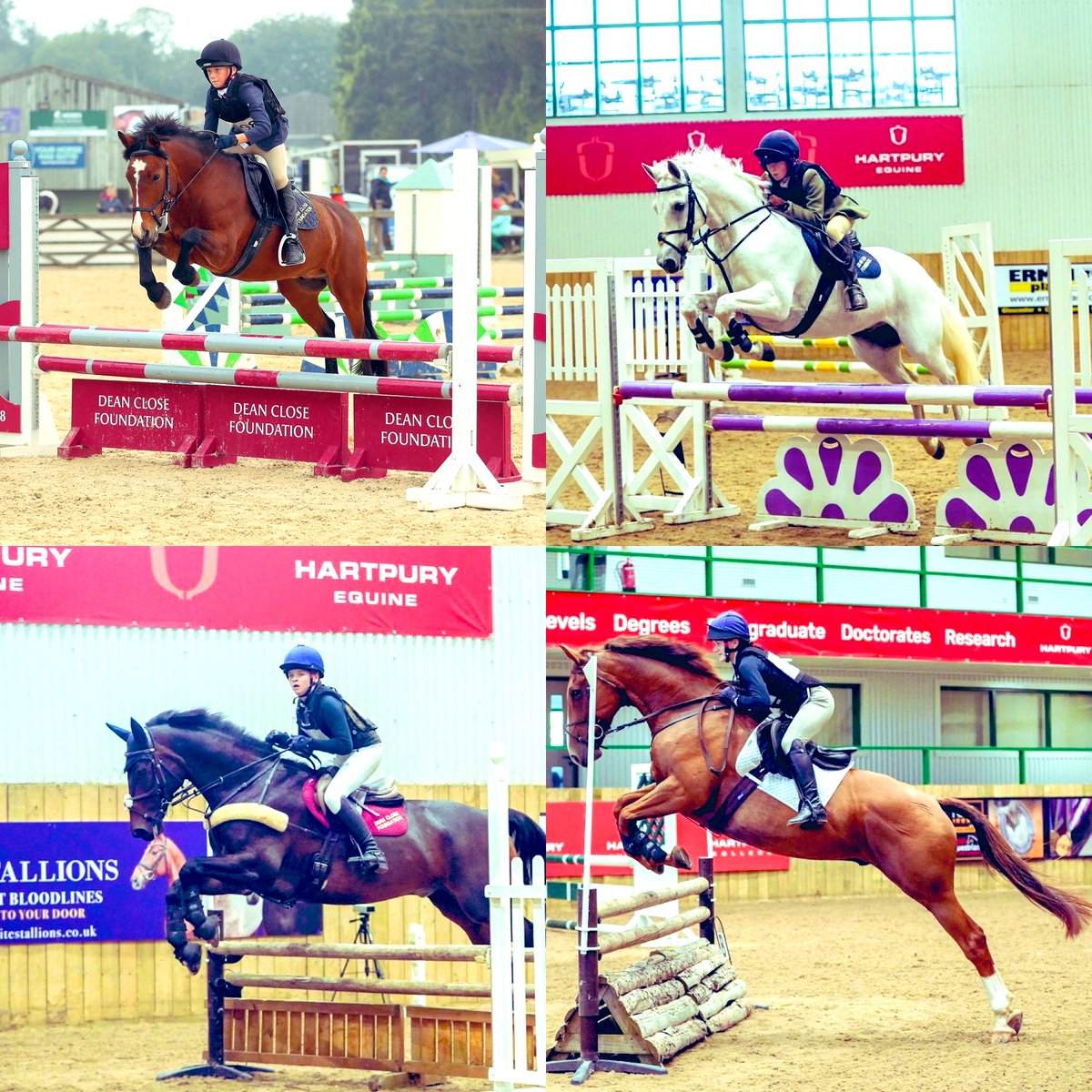 DeanCloseEquestrian tweet media