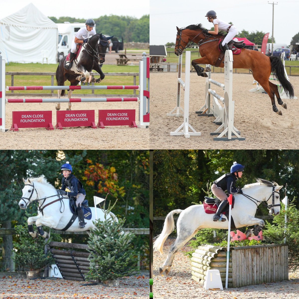 DeanCloseEquestrian tweet media