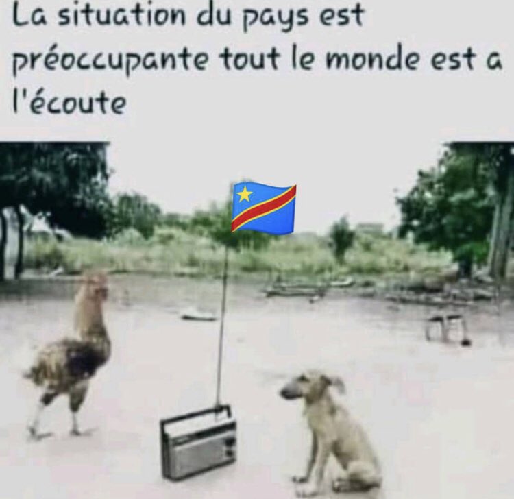Patrick Ngabo Égide (@nluoka) on Twitter photo 