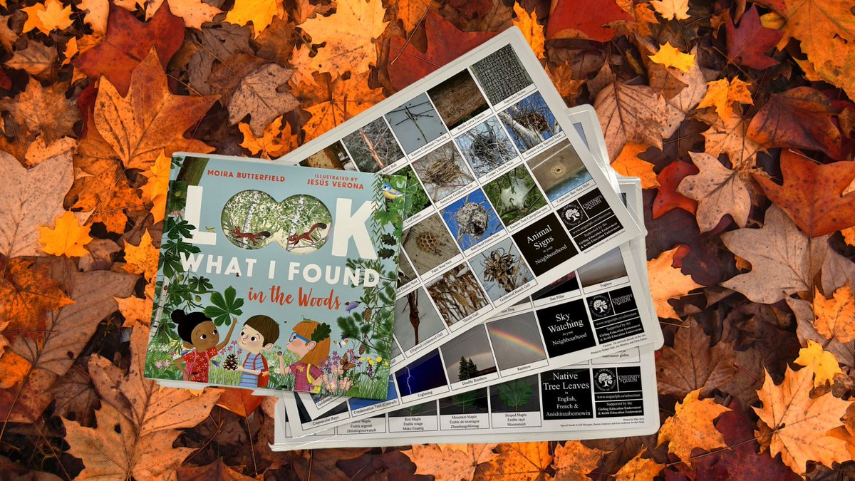 Reading 📖 "Look What I Found in the Woods" or using the 🍂Arboretum ID cards might be good tools to explore today's #KindergartenBioBlitz guiding question! Tag us in your posts so we can engage with your class😁 #inquiry #outdooreducation