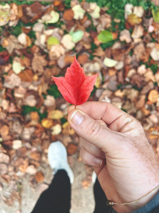 It&rsquo;s getting cold here. Time to head out. Guess where next. ✈️🎰🕺🏼 https://t.co/ho7YZbGrA4