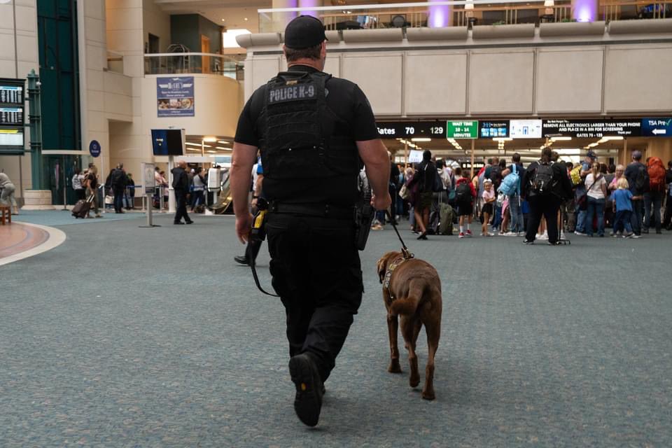 OrlandoPolice's tweet photo. If you're traveling in and out of @MCO you may spot our designated Airport K-9 Unit. With their keen sense of smell and dedicated training, these K-9s help to keep travelers safe by sniffing out danger. In between routine security sweeps, they also find time to greet travelers! https://t.co/CUCCGGl96M