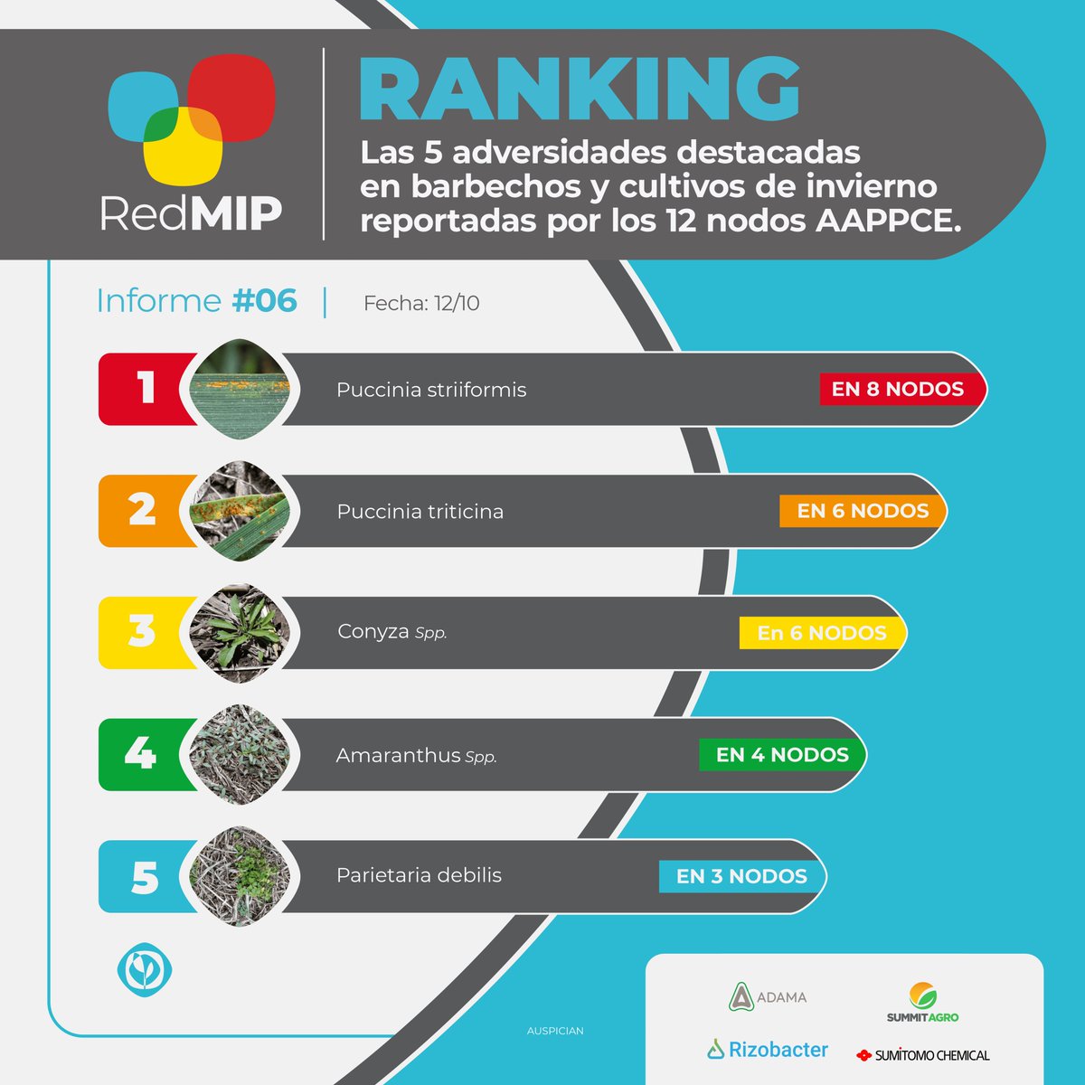 AAPPCE's tweet photo. Estas son las 5⃣ advesidades destacadas en el último #InformeRedMIP.
Mirá en qué zona se encuentra cada una 🌾
🎯Acceso: https://t.co/tngRzHHavB
#RankingRedMIP #ElMonitoreoEnTodoslados https://t.co/OBSsr67YM4