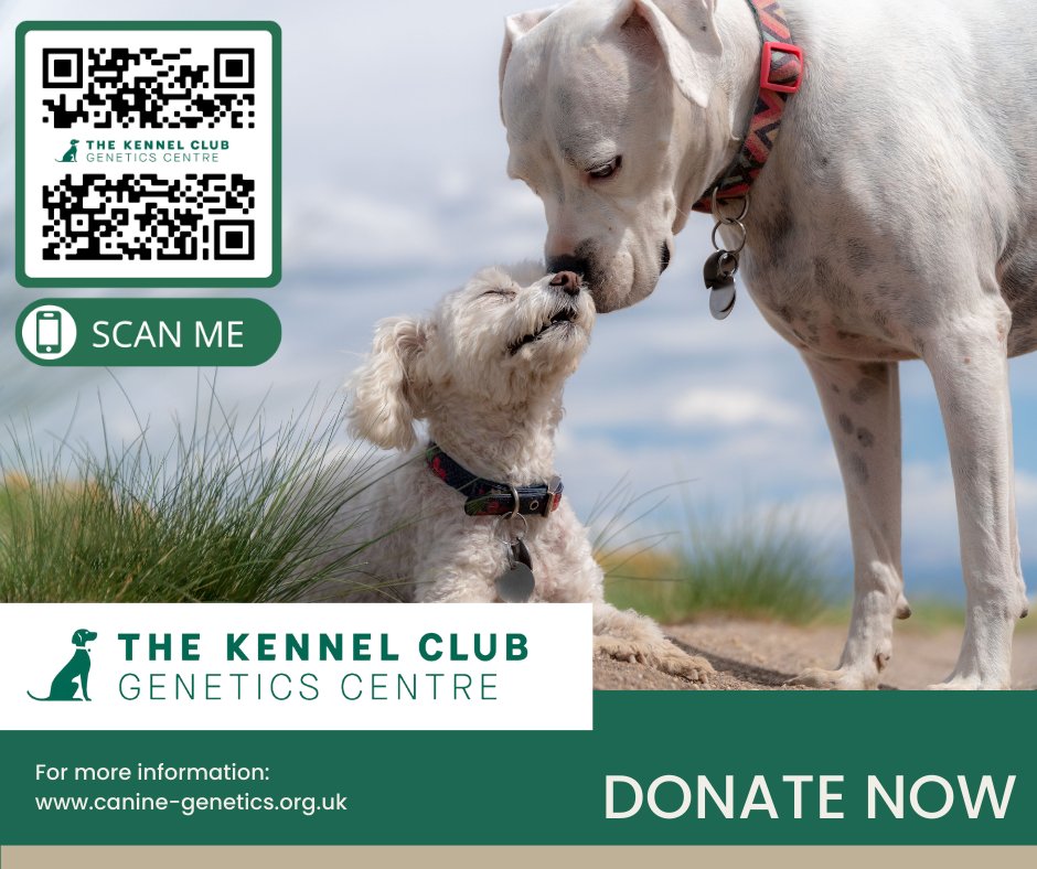 Canine Genetics Centre at University of Cambridge tweet media
