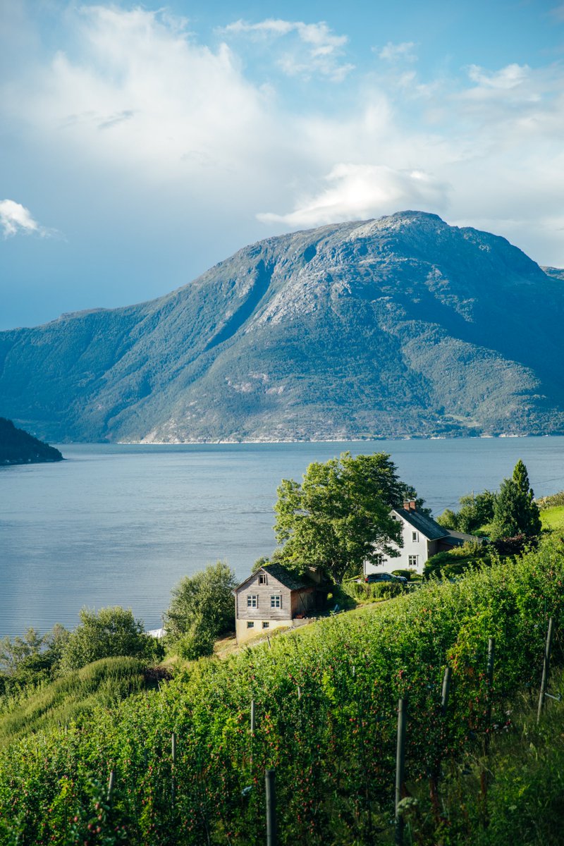 hellolaroux tweet media