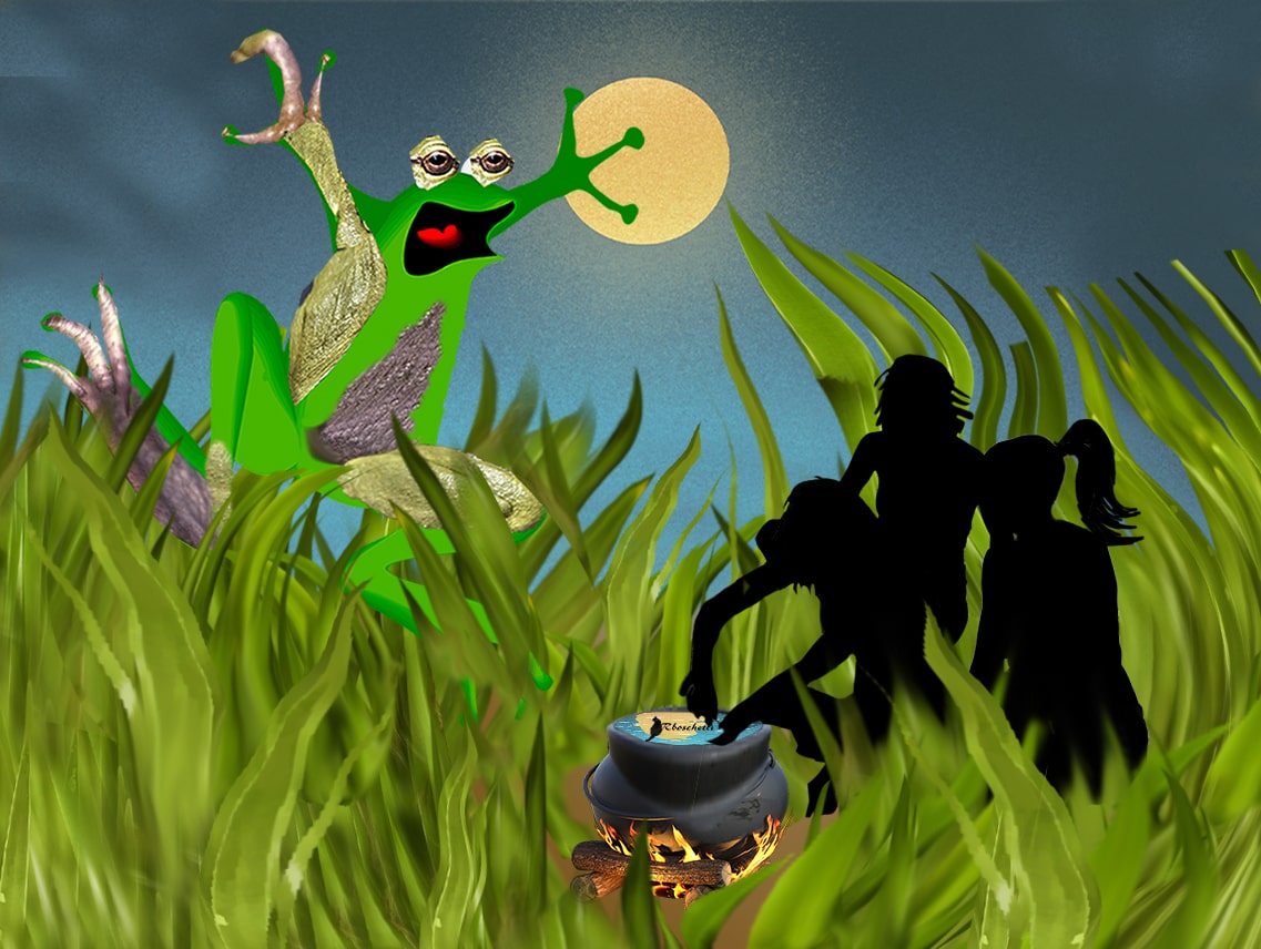 #microrrelato para hacer desaparecer a los espíritus  malignos que vagan por allí libremente: La rana y los espíritus malignos