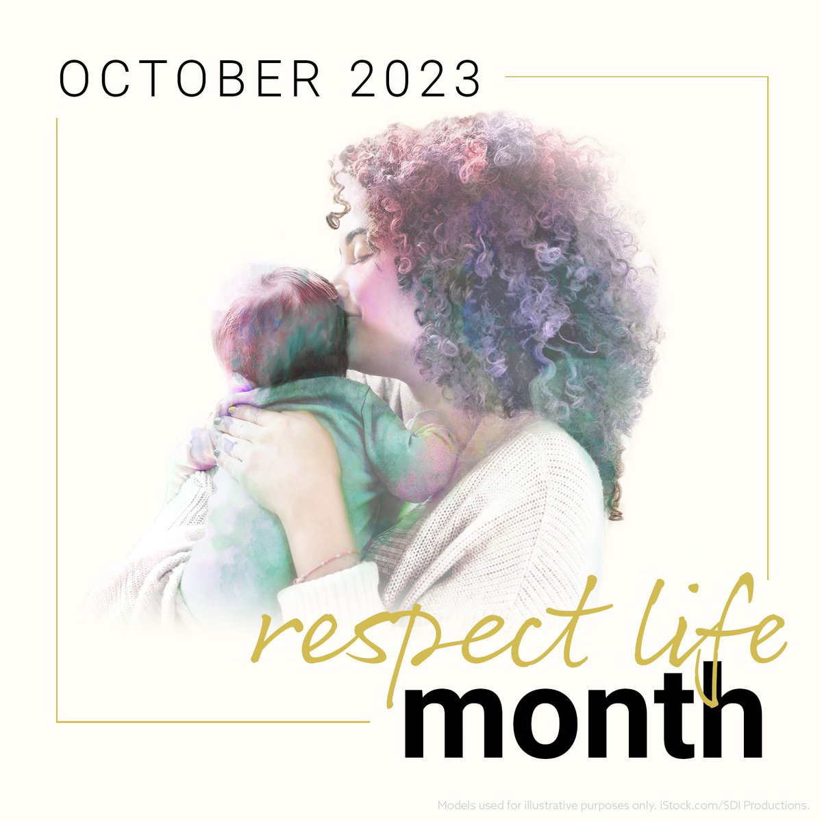 Columbus students are participating in a diaper dash challenge with Beckman HS to see which school can collect the most diapers for young mothers. Diapers can be dropped off in the CHS main office before 10/31. <a href="/CBUS_Activities/">The Shipyard</a> <a href="/CVCS_Waterloo/">Cedar Valley Catholic Schools</a> <a href="/CVCS_CHSAlumni/">Columbus HS Alumni</a> <a href="/KofC/">Knights of Columbus</a> <a href="/obianuju/">Obianuju Ekeocha</a>