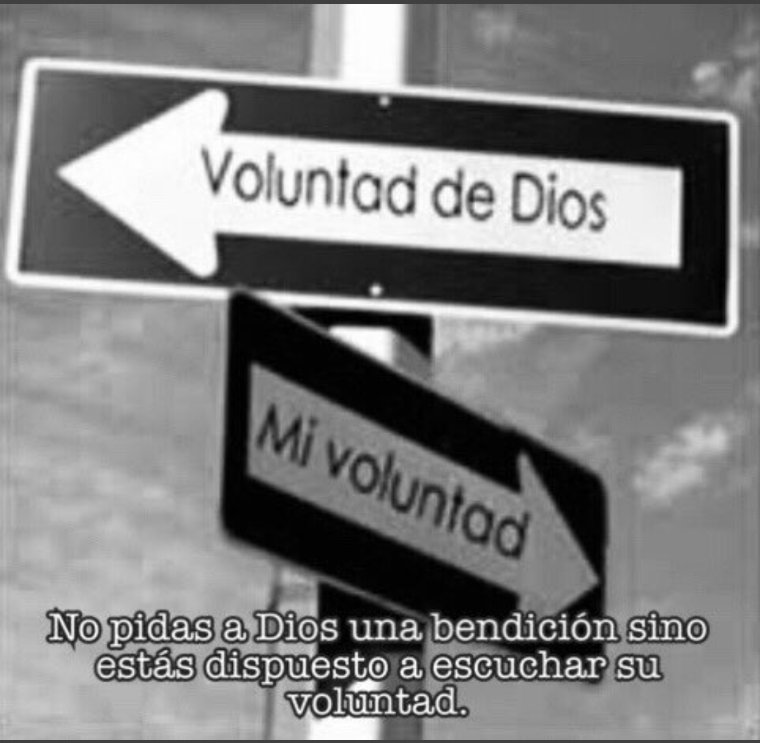 thlugo's tweet photo. @Dios733 Amén 🙏🏻 https://t.co/9AahnCW98G