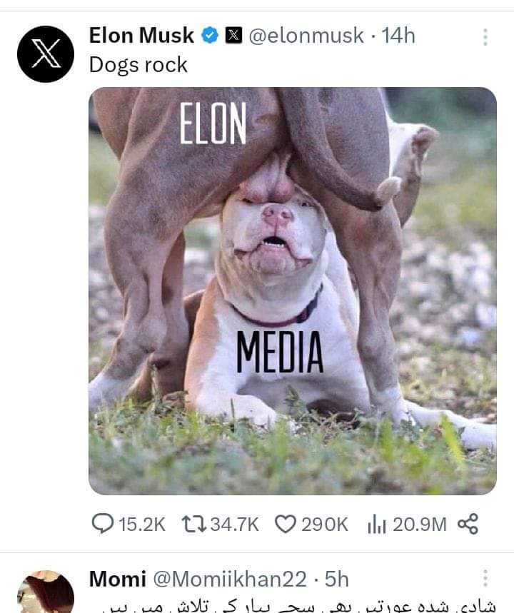 AhsanOf26's tweet photo. @elonmusk https://t.co/DyCc0TNX7C