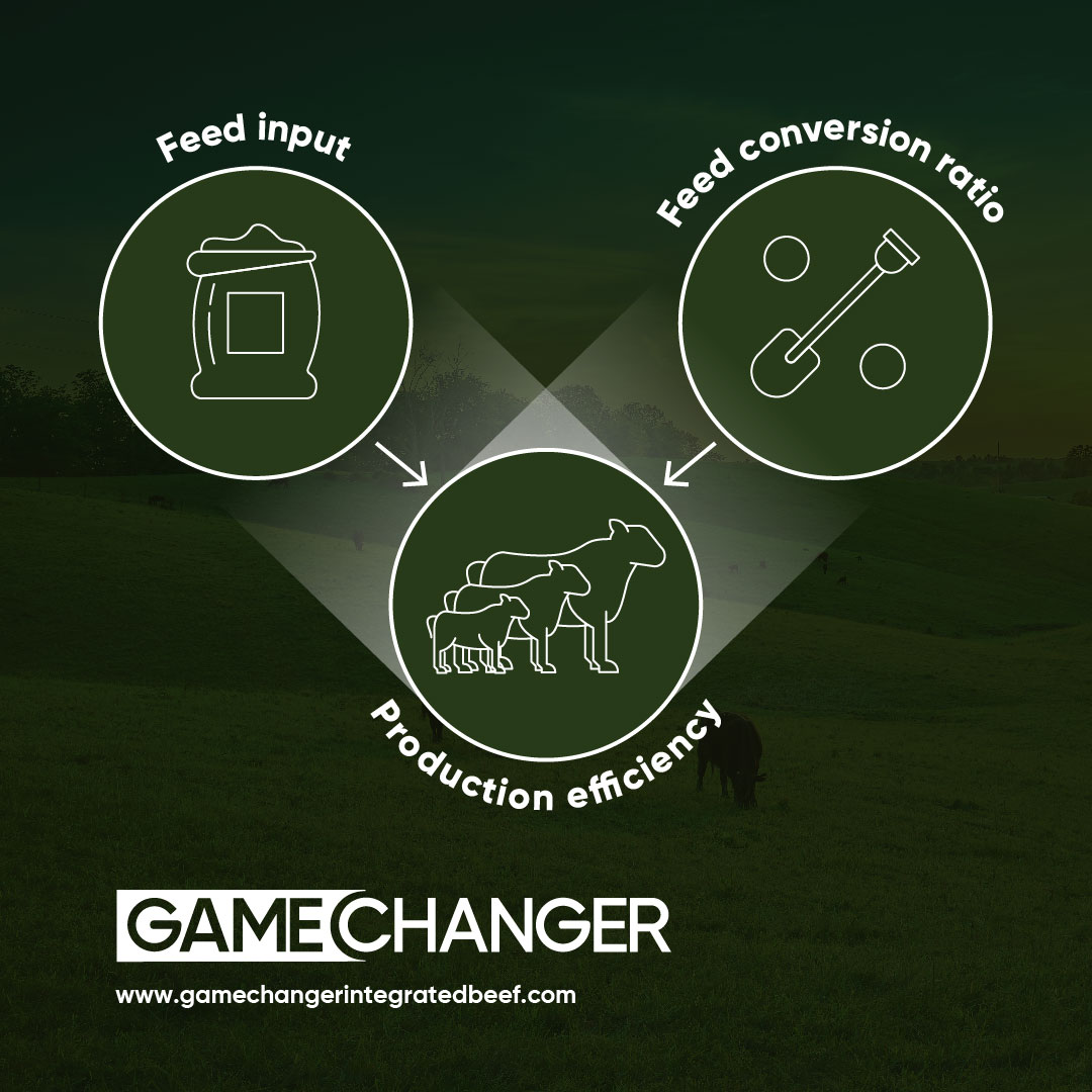 GamechangerFarming tweet media
