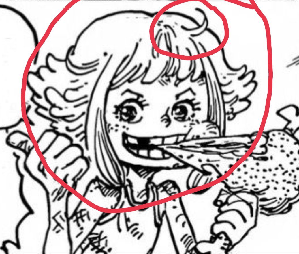Kouusaji's tweet image. 💥Why did no one notice this? She could be luffys mom💥

#ONEPIECE