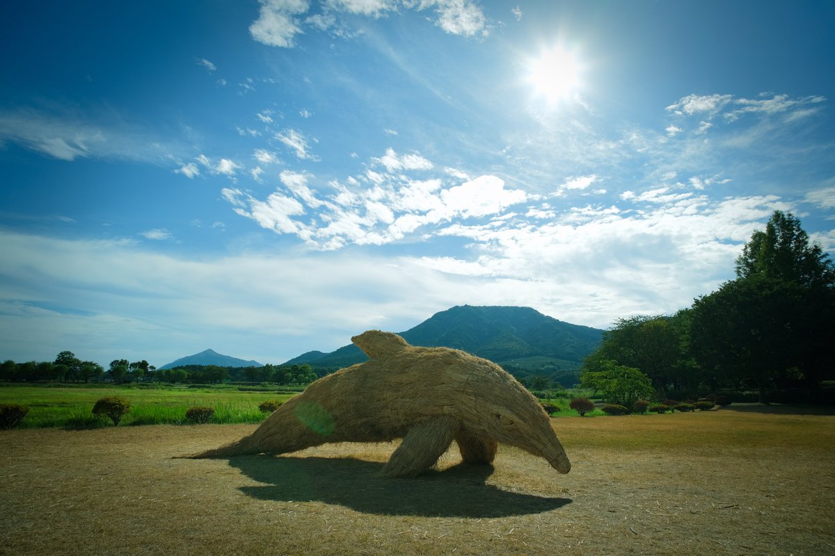 「夏の忘れ物」
2023年「 わらアートまつり」
新潟市西蒲区上堰潟公園
タコ、朱鷺、イルカだそうです。
8月末に撮影しましたが、あまりの暑さに
アップするのを忘れていました。(/ω＼)

FUJIFILM X-Pro3、XF23㎜F2