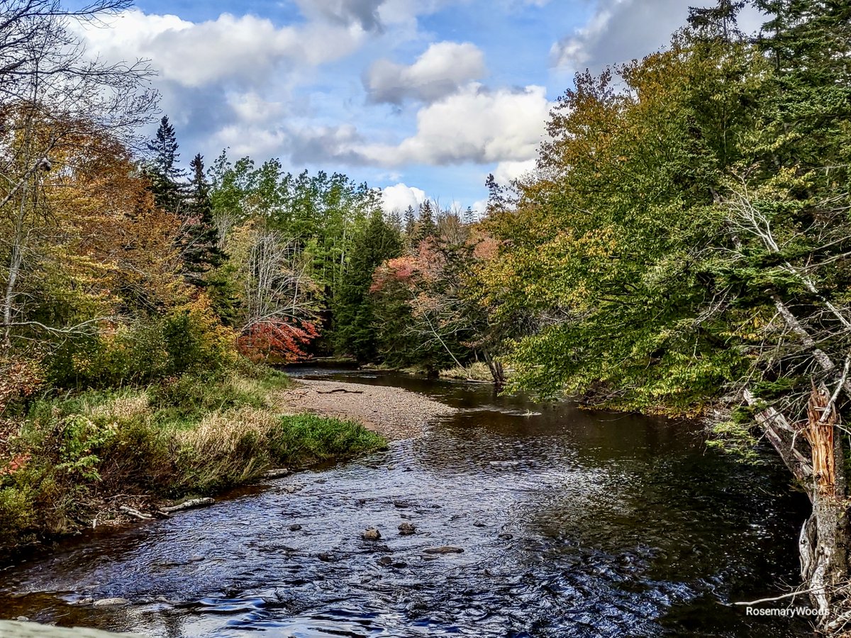 CindyDayWeather's tweet photo. Summer returns tomorrow? That's the topic of today's blog: https://t.co/bCNM3iMYoR #weatherlore #grandmasays #littlesummer Photo credit: Rosemary Woods https://t.co/Yjx0bJvolb