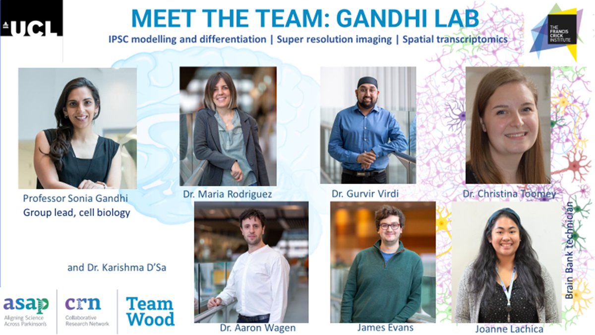 TeamWood ASAP CRN (@pd_brainmap) on Twitter photo 📢📢Vacancy alert, new post doc Research Fellow post now open within the <a href="/LabGandhi/">Gandhi_Lab</a>.
Check out the advert on tinyurl.com/bdzfezkt 📢📢Vacancy alert, new post doc Research Fellow post now open within the <a href="/LabGandhi/">Gandhi_Lab</a>.
Check out the advert on tinyurl.com/bdzfezkt