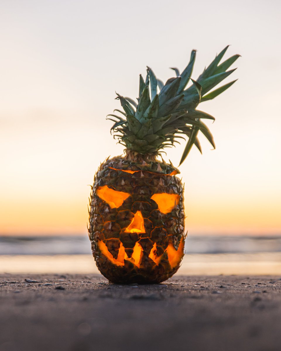 You know what they say, when life gives you pineapples, carve them like pumpkins and hit the beach! 🍍🌊 #RedingtonBeach #Florida