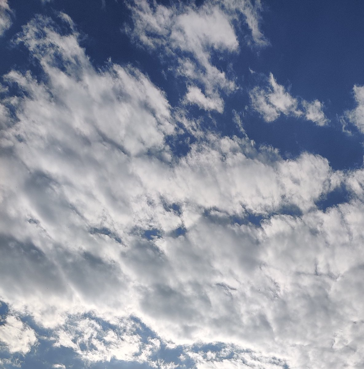 Busted Ride Daily Vanity Plate Ideas tweet media