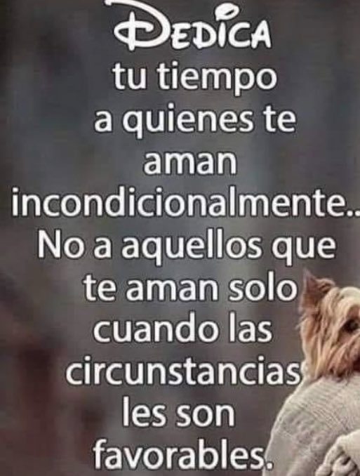 carmen esther tweet media