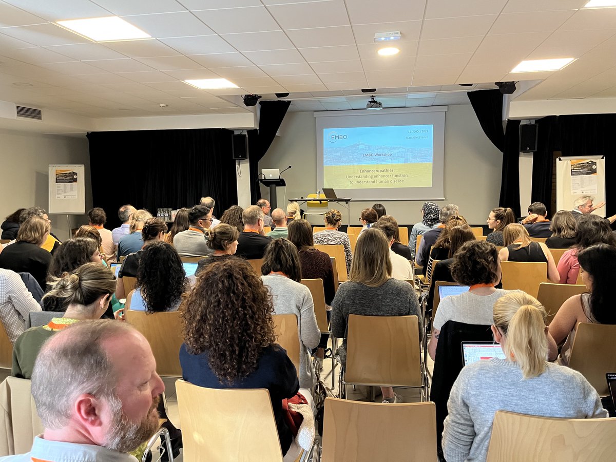 enhpathy_H2020's tweet photo. The second @EMBO workshop on Enhanceropathies co-organized by @S_Spicuglia @RadaIglesiasLab @susmandrup started today!
#EMBOenhanceropathies
EMBO Workshop ▶️ https://t.co/fsskfGhMoC

@MSCActions https://t.co/7siVpYIi3q