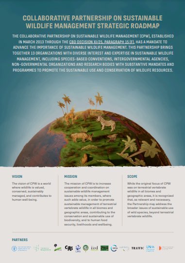 UNBiodiversity's tweet photo. 🌍🦁🌿 CPW unveils 2023-2025 work plan! 

We're committed to sustainable wildlife management, biodiversity conservation, and food security. #CPWildlife #Sustainable 🌿🦓🐾 

@CIFOR @CICwildlife @CITES @BonnConvention @IIED @IUCN @IIFB_indigenous @IUFRO @FAO @TRAFFIC_WLTrade @UNEP https://t.co/Xd7K0K0jCE