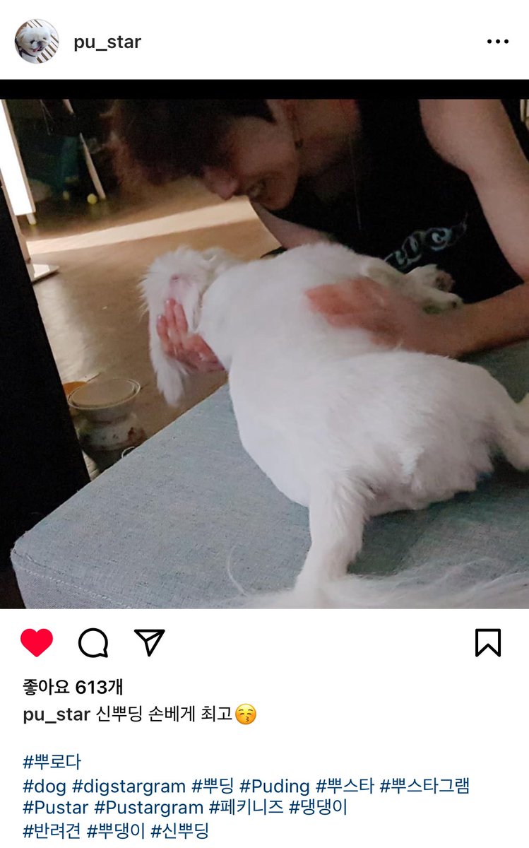 hi_saeon's tweet photo. 181017 pu_star 행복한 뿌스타그램
신뿌딩 손베게 최고😚
#뿌로다
#dog #digstargram #뿌딩 #Puding #뿌스타 #뿌스타그램 #Pustar #Pustargram #페키니즈 #댕댕이
#반려견 #뿌댕이 #신뿌딩
https://t.co/0jEuAoG6XF https://t.co/9zX29z1cx0