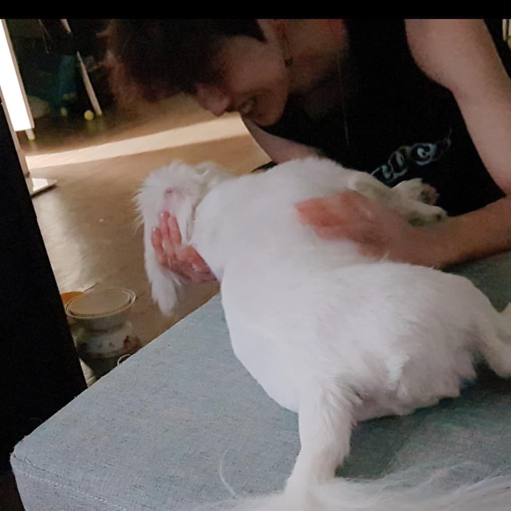 hi_saeon's tweet photo. 181017 pu_star 행복한 뿌스타그램
신뿌딩 손베게 최고😚
#뿌로다
#dog #digstargram #뿌딩 #Puding #뿌스타 #뿌스타그램 #Pustar #Pustargram #페키니즈 #댕댕이
#반려견 #뿌댕이 #신뿌딩
https://t.co/0jEuAoG6XF https://t.co/9zX29z1cx0
