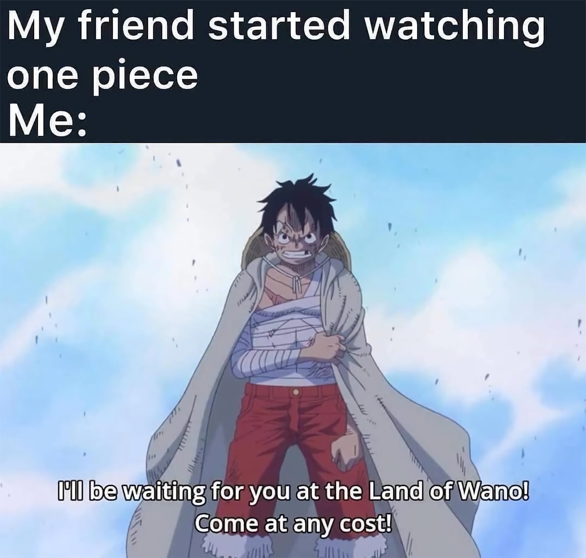 strawhats's tweet photo. Anime : One Piece https://t.co/bs1lx2jGAl