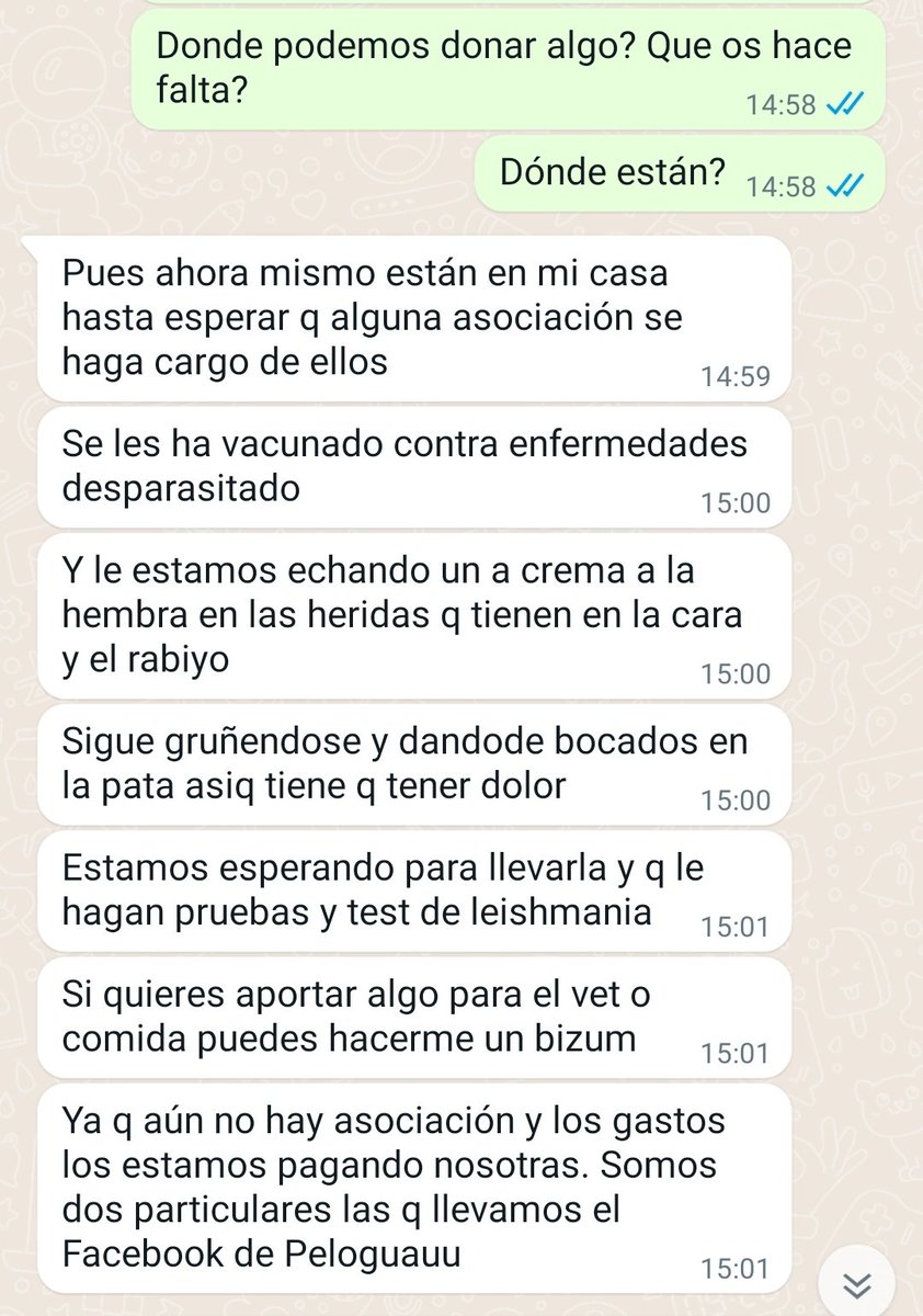 Escalin 🇪🇸 tweet media