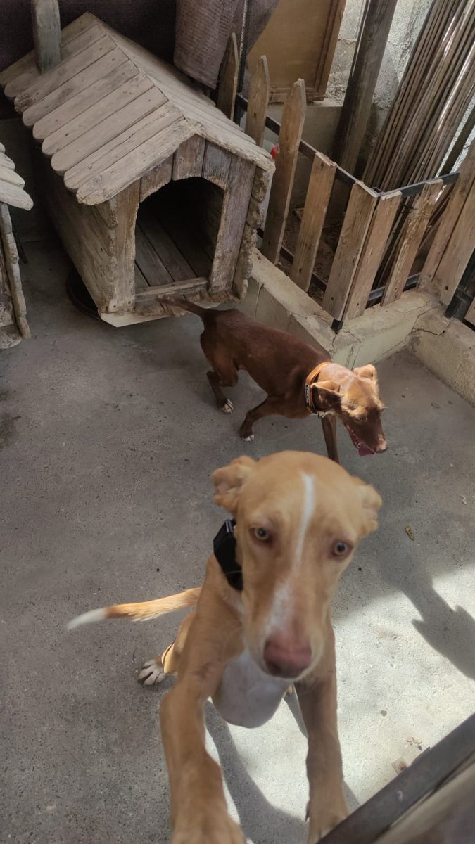 Escalin 🇪🇸 tweet media