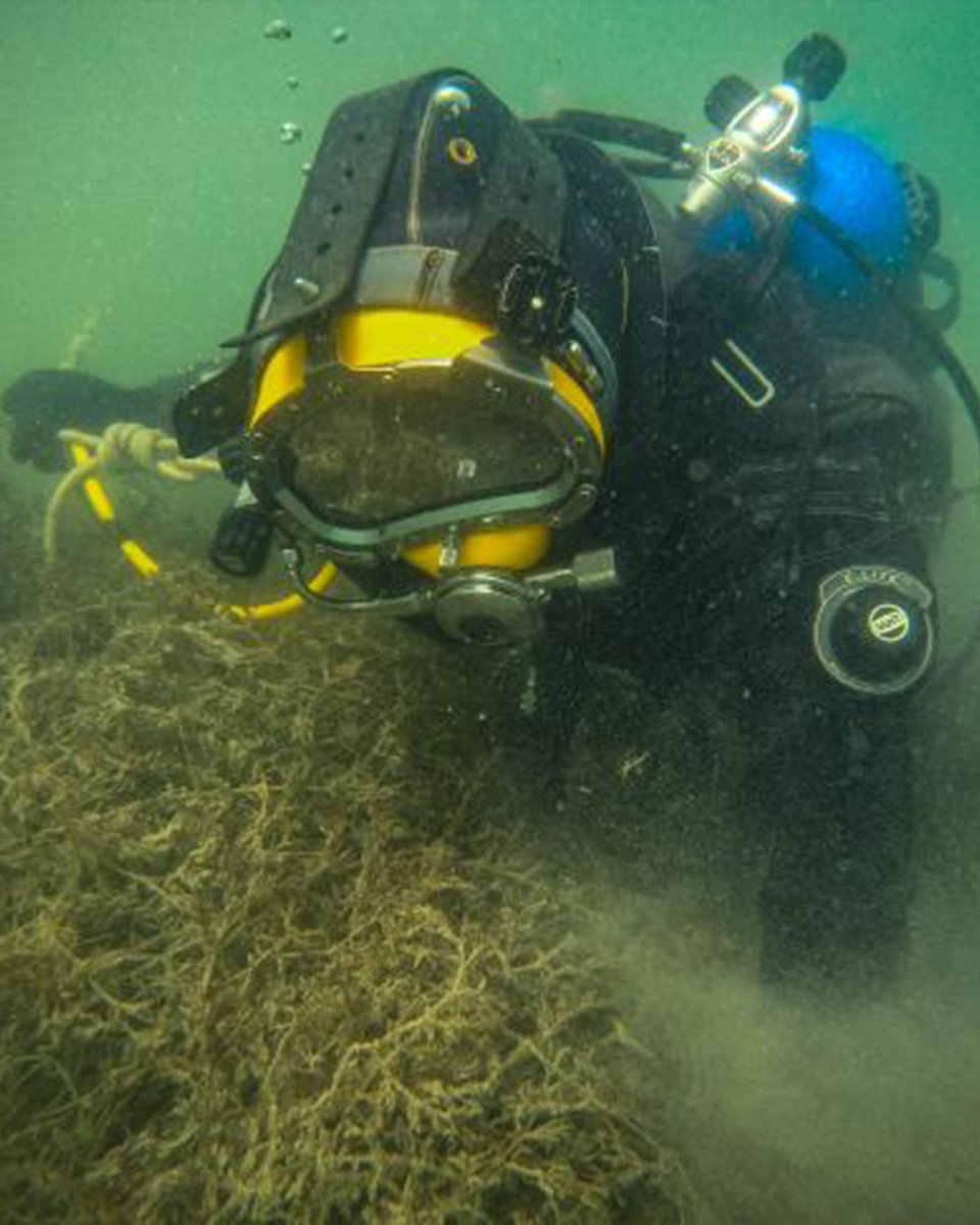 During the ERD II course students from Rescate al Día explored encapsulation, the physiological changes in submerged bodies, lifting techniques, and more!⁠
Are you prepared to elevate your skills as a public safety diver? Start now
tdisdi.com/erdi/get-certi…

📷️: <a href="/luismartinez_la/">Luis Martinez</a>