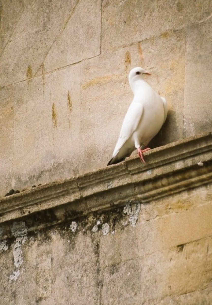 "Beni yarı yolda bırakmayan insanlarla karşılaştır Allah'ım."