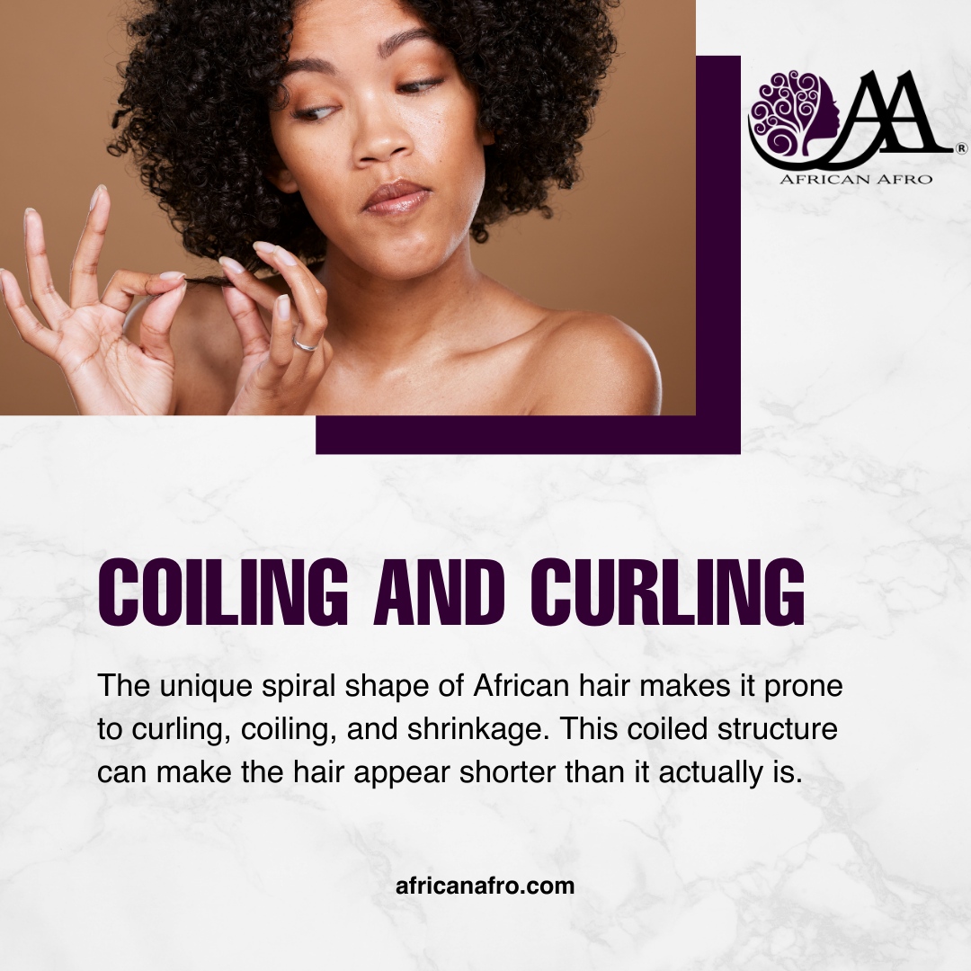 AfricanAfroAA's tweet photo. Embrace the Beauty of Coiling and Curling! 🌀✨ 

African hair's unique spiral structure is a celebration of natural beauty, prone to gorgeous curls, coils, and shrinkage that add character to your locks. 🌿🌟

Shop now to enhance and celebrate your one-of-a-kind hair. 💁‍♀️🛍️ https://t.co/TwoALX3pvY