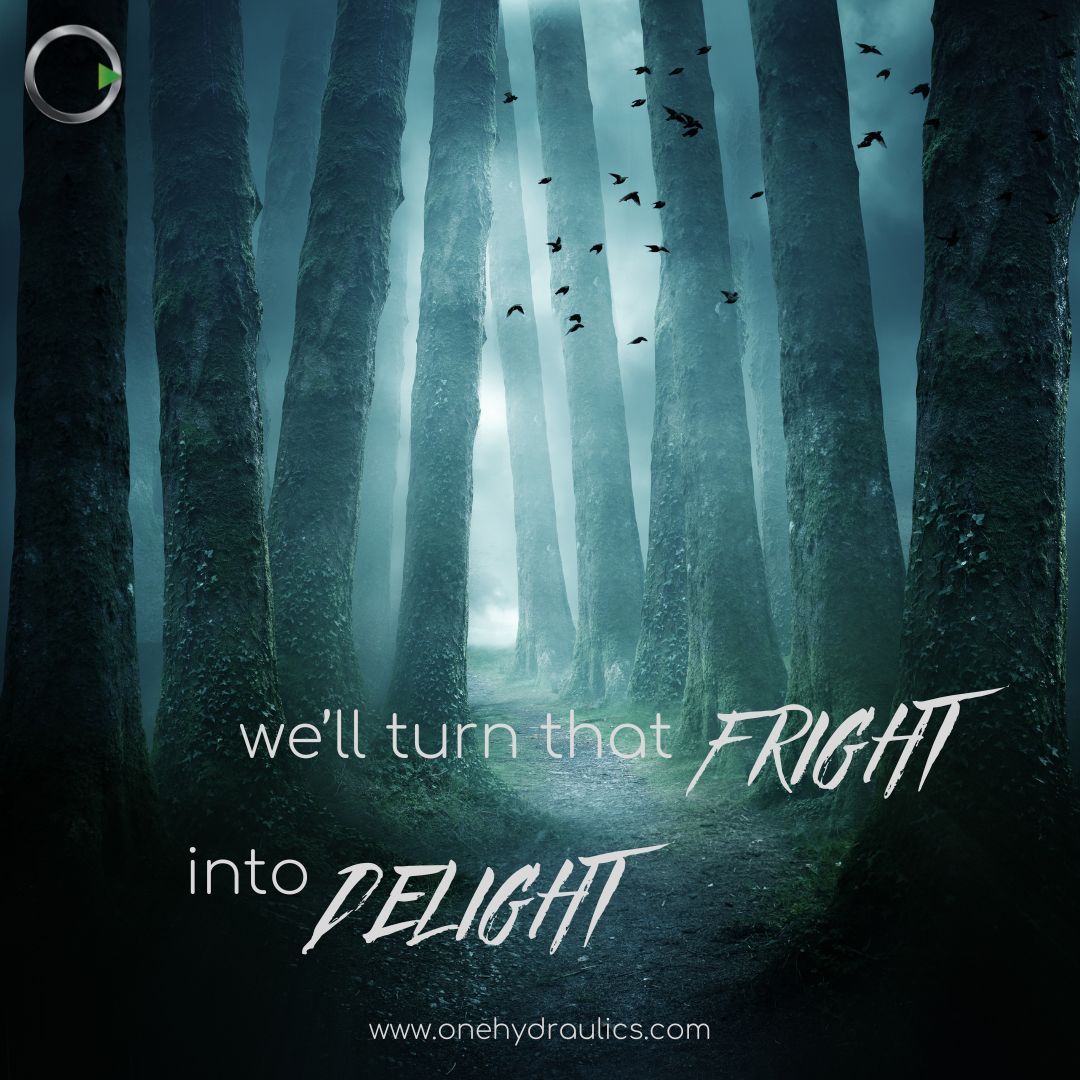 hydraulicchick's tweet image. Have no fear, OneHydraulics is here! Our technical team is standing by and ready to chase those spooks away. 

#onehydraulics #design #schematics #fluidpower #halloween #fluidpower #hydraulics #pneumatics #automation #nothingtofear #teamgreenishere