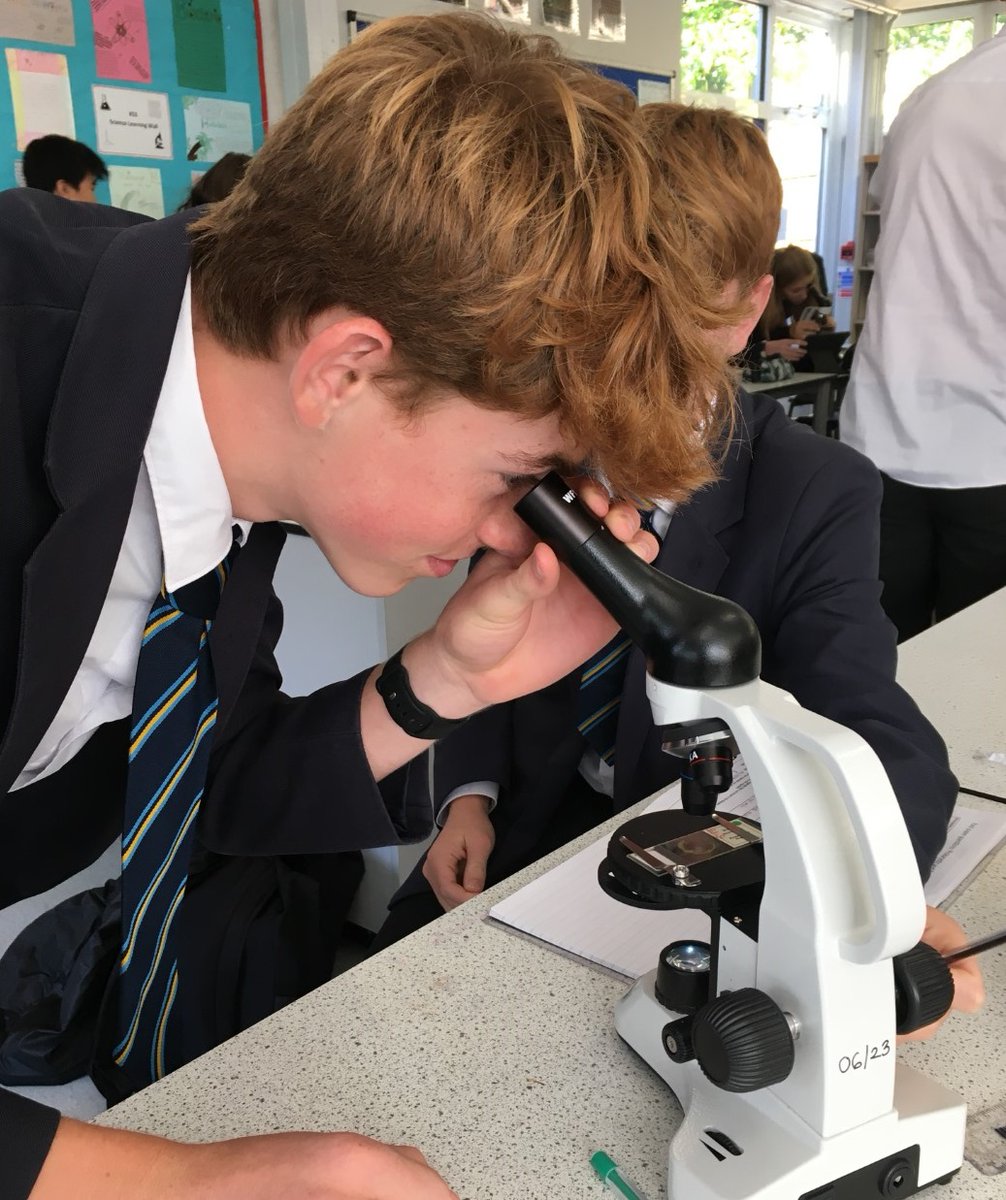 sirjohnlawes's tweet image. In Year 10 science class, students were using microscopes to study slides of mixed bacteria and leaf fragments - helping to build microscopic observation skills. 
#sjlscience #sciencelesson @SJLScience