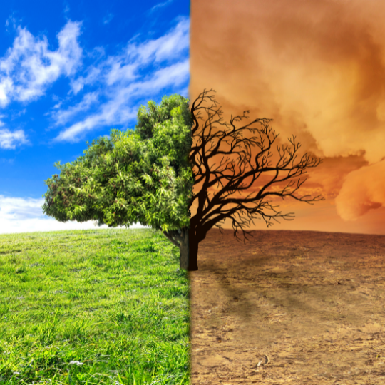 CPD: Climate Psychology |A Matter of Life and Death Speaker: Paul Hoggett | Sat 21 Oct 10am - 4pm, Stroud Cricket Club Pavilion Engaging with Climate Change. What happens when reality finally breaks through? ow.ly/jyTq50PUYzn #counsellors #cpd #stroud #climatechange