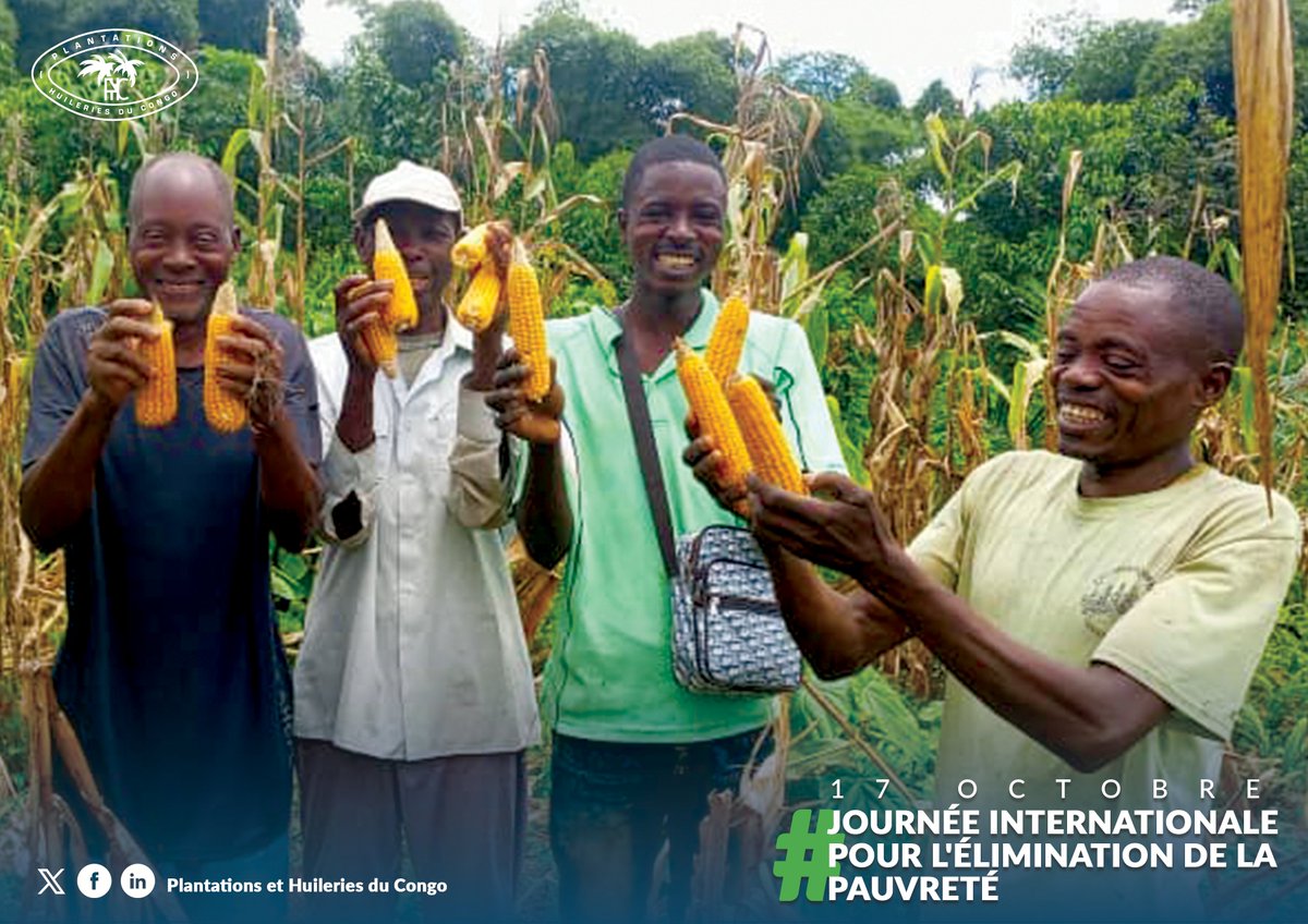 🛑Journée internationale pour l'élimination de la #pauvreté - ODD : Les PHC à travers sa vision de créer une prospérité partagée grâce à l’Agribusiness, accompagnent plus de 2000 personnes sur des activités génératrices de revenus dans le secteur agricole en milieu rural