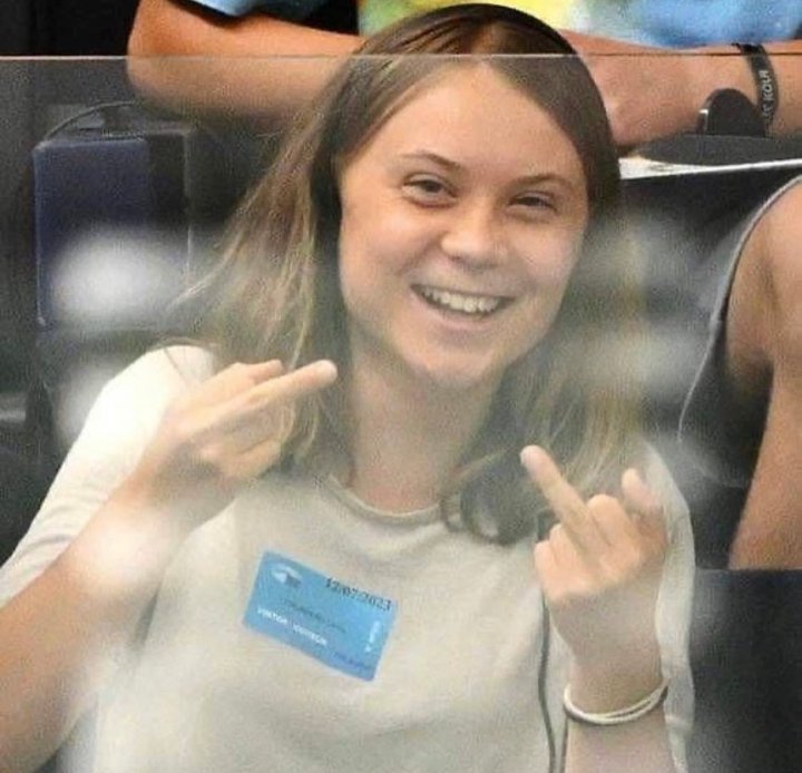 DANTE_eloficial's tweet photo. Sondeo Tuitero 

Cree usted que Greta Thunberg es una marioneta de la élite globalista para promover la teoría del cambio climático?

SÍ: 🔄
NO: ♥️
.
. https://t.co/xzt0n4GmiM