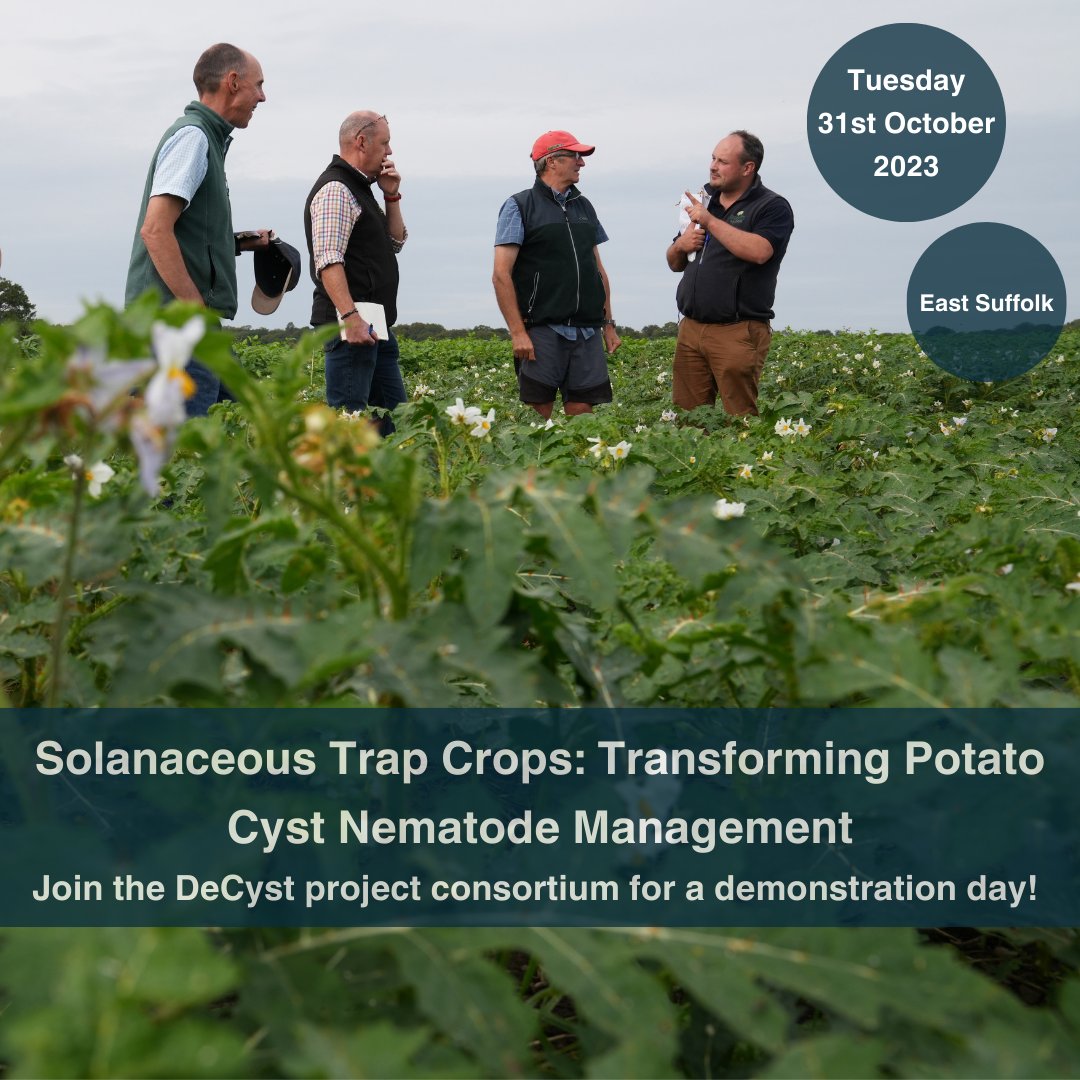 Produce Solutions tweet media